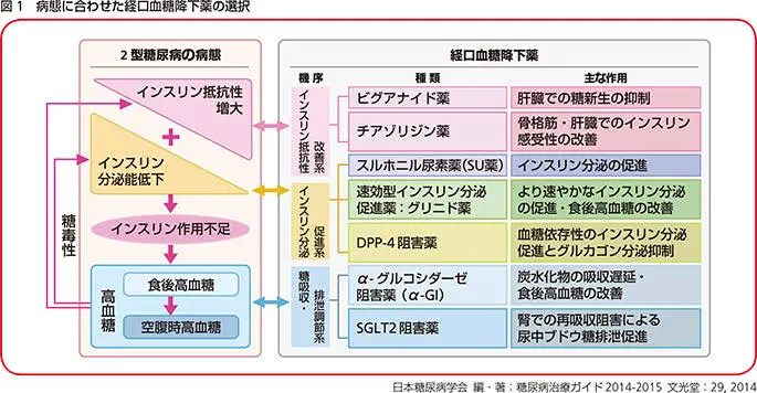 糖尿病の内服薬 人形町 水天宮前の内科専門クリニック